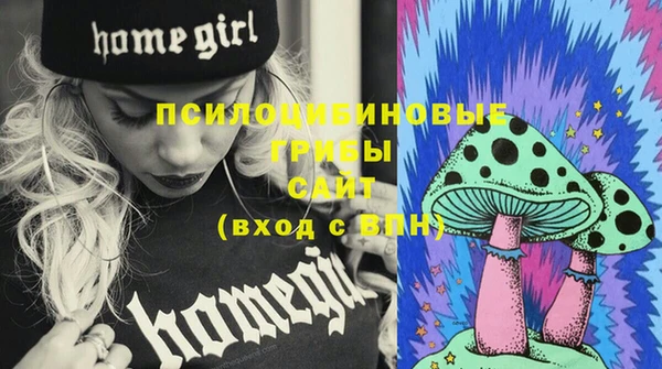 индика Бугульма
