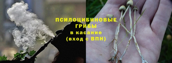 индика Бугульма