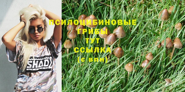 а пвп мука Ессентукская