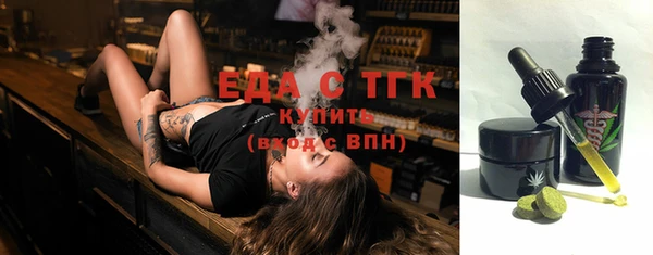 дмт Бородино
