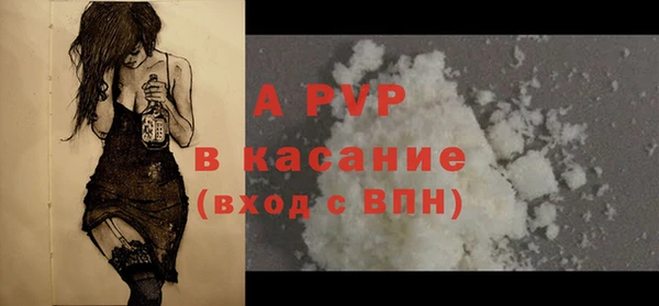 дмт Бородино