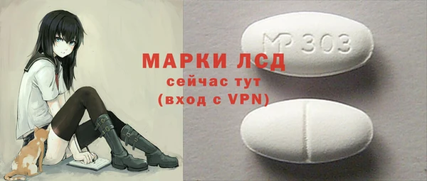дмт Бородино