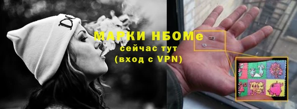 индика Бугульма