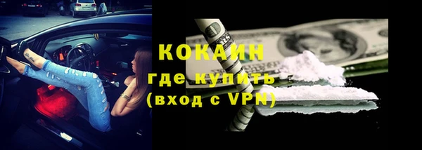 индика Бугульма