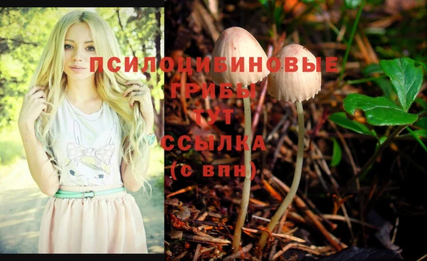 дмт Бородино
