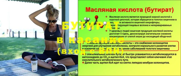 дмт Бородино
