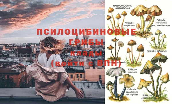 индика Бугульма