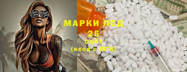 дмт Бородино