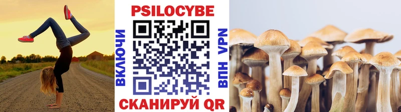 Псилоцибиновые грибы мухоморы  хочу   Светлогорск 