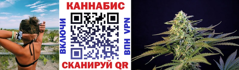 Бошки марихуана LSD WEED  наркота  Светлогорск 